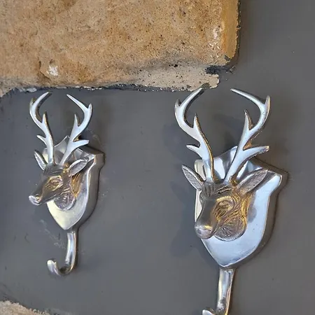 Lejlighed Gemuetliches In Dresden-zentrumsnah *