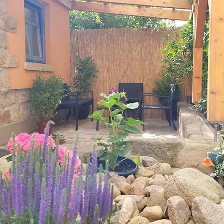 Gemuetliches In Dresden-zentrumsnah Апартаменты *