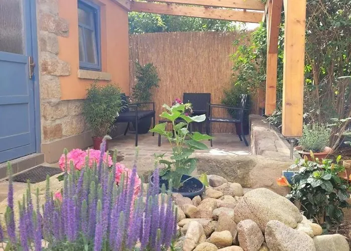 Gemuetliches In Dresden-zentrumsnah Lejlighed *